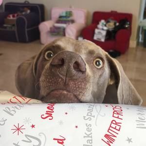 Meet your Posher, Meghan